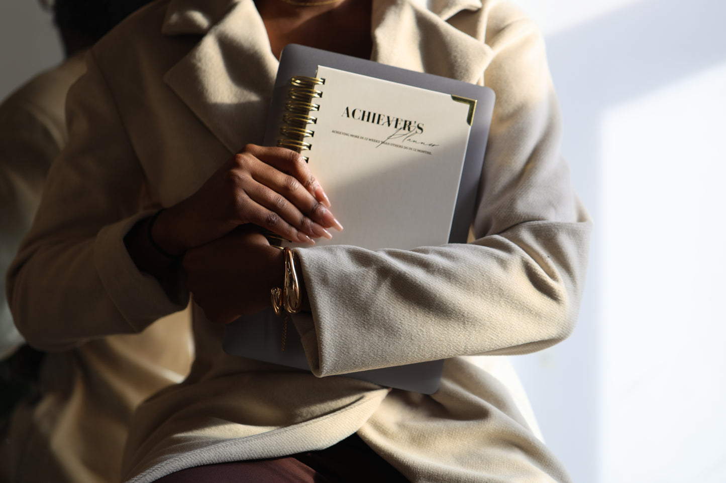 Achiever's Planner – Champagne