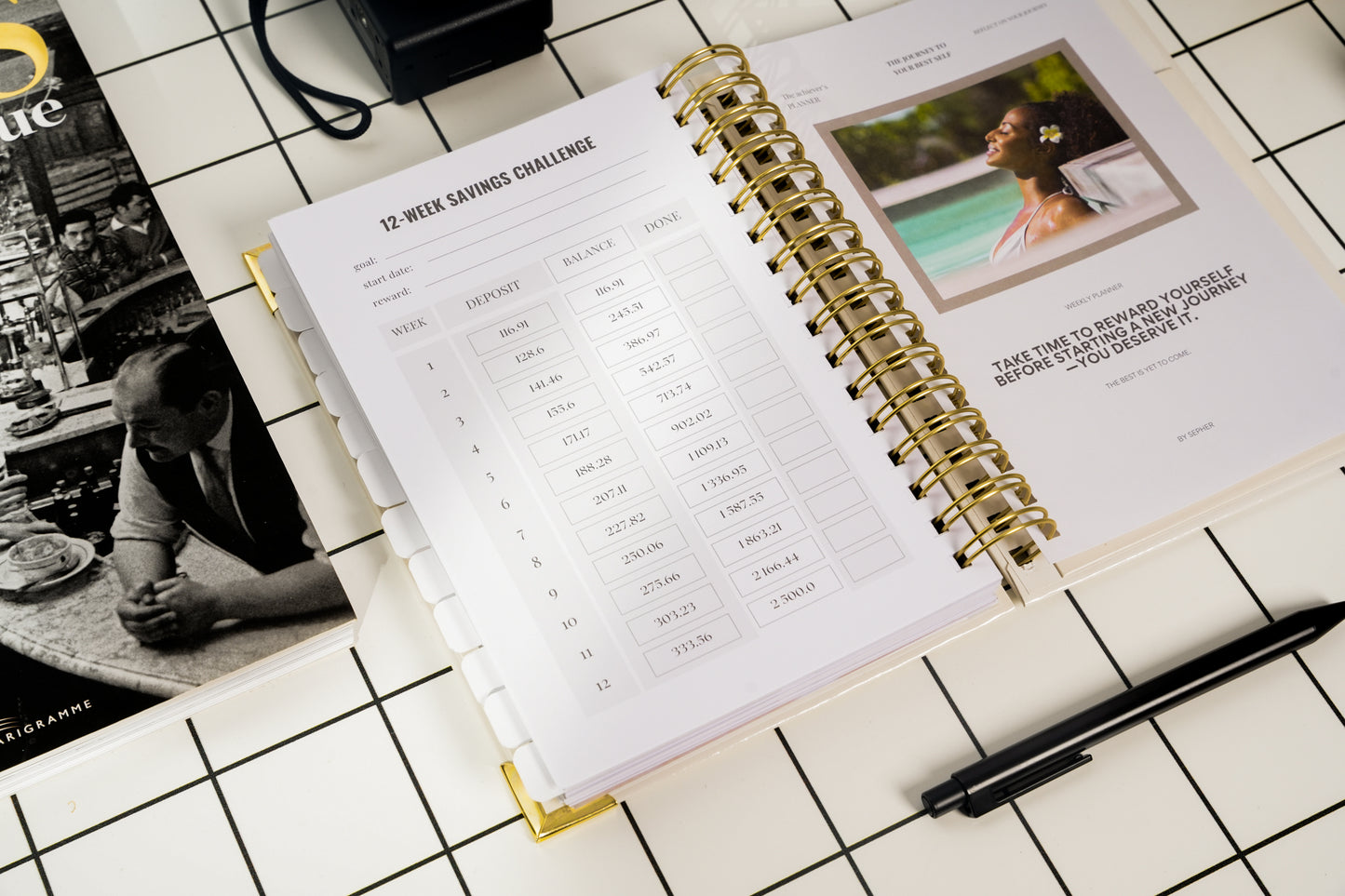 Achiever's Planner – Champagne