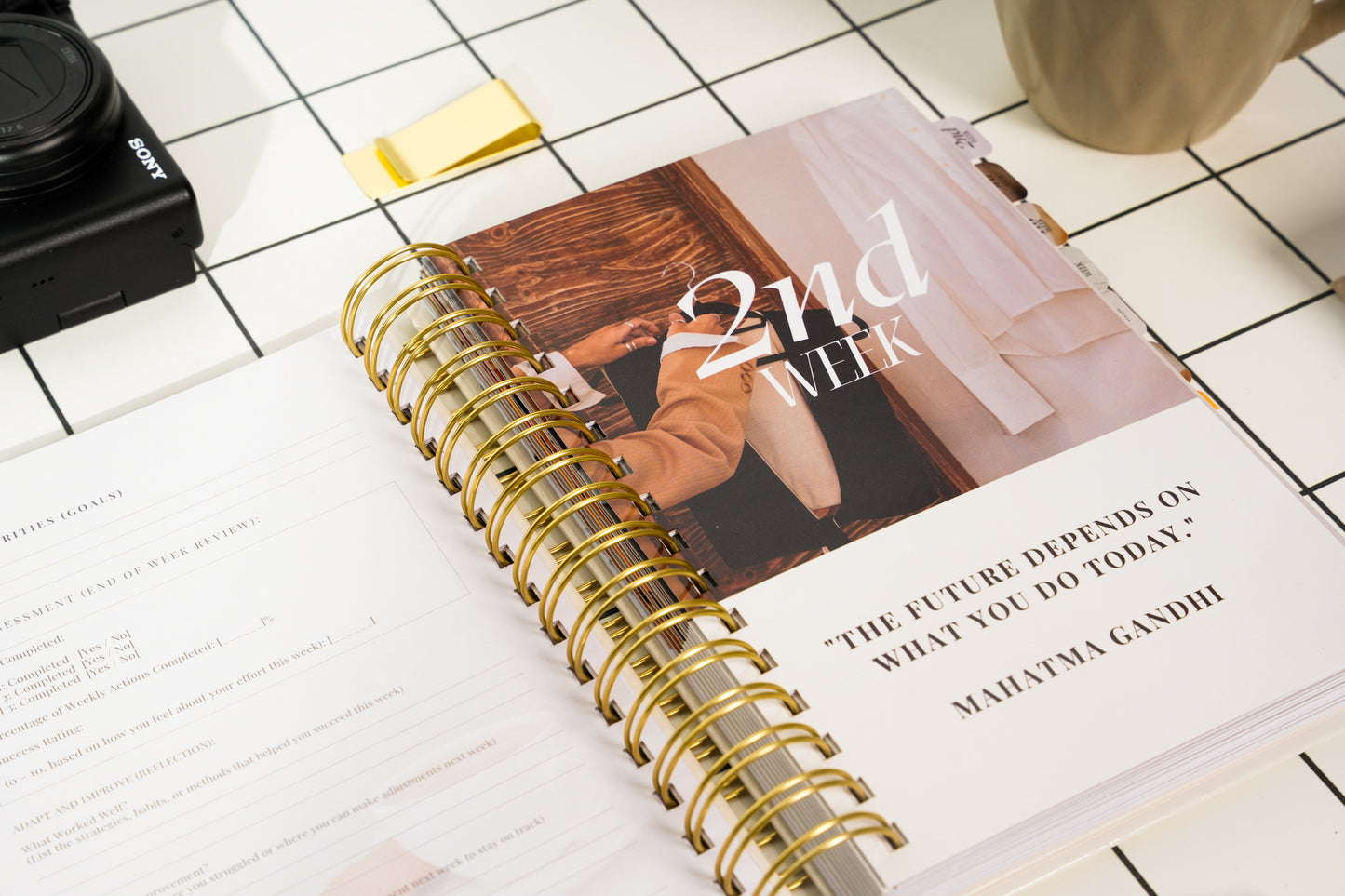 Achiever's Planner – Champagne