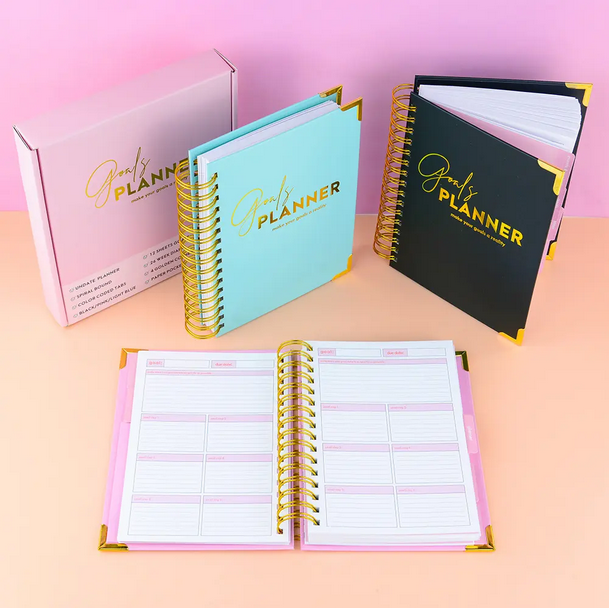 Achiever's Planner – Champagne